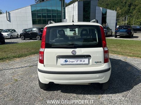 Auto Fiat Panda Classic Panda 1.4 Natural Power Classic Usate A La Spezia