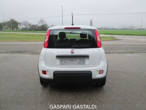Auto Fiat Panda 1.2 Easypower Gpl Km0 A Vicenza
