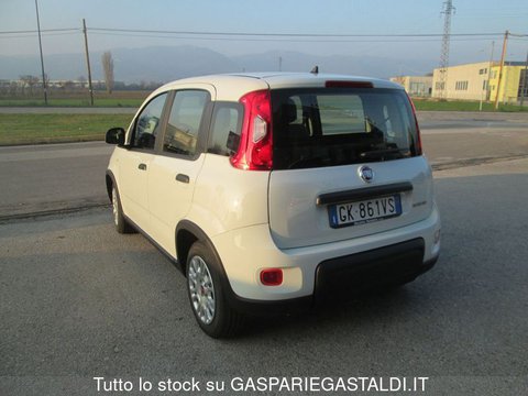 Auto Fiat Panda 1.0 Firefly S&S Hybrid Km Zero Usate A Vicenza