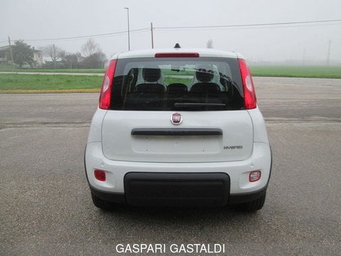 Auto Fiat Panda 1.0 Firefly S&S Hybrid #Sensori #Sedile #Radio Km0 A Vicenza