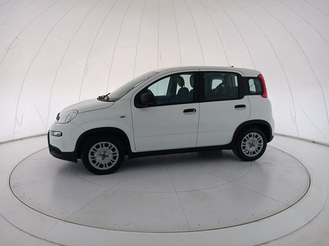 Auto Fiat Panda New My23 1.0 70Cv Hybrid Panda Km0 A Bari