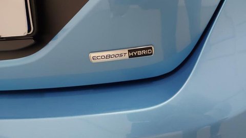 Auto Ford Fiesta 7 Serie Active X 1.0 Ecoboost Hybrid 125 Cv 5 Porte Usate A Venezia