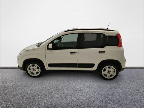 Auto Fiat Panda 1.0 Firefly S&S Hybrid #Extrsconto Usate A Venezia