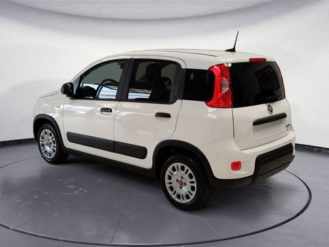 Auto Fiat Professional Panda Van 1.0 S&S Hybrid Van 4 Posti Km0 A Pordenone