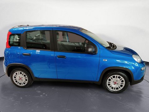 Auto Fiat Panda 1.0 Firefly S&S Hybrid My24 Km0 A Pordenone