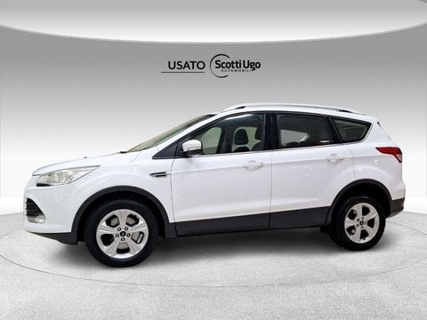 Auto Usate Siena Ford Kuga Diesel II 2.0 tdci Plus 2wd 140cv - Sede -  Sinalunga