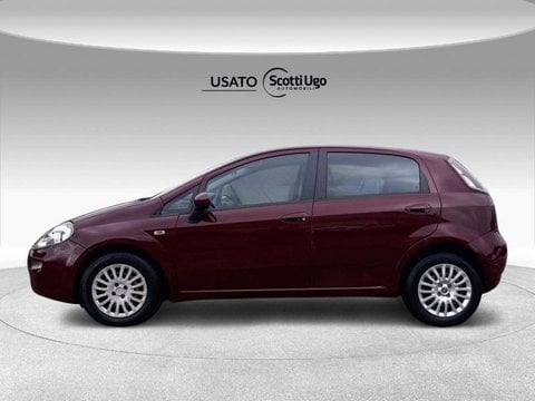 Auto Fiat Punto Iii 2012 5P 1.3 Mjt Ii 16V Easy S&S 95Cv Usate A Firenze