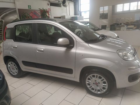 Auto Fiat Panda Iii 2016 1.2 Easy S&S 69Cv My19 Usate A Firenze