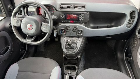 Auto Usate A Viterbo | Fiat Panda Iii 2016 4X4 0.9 Twinair Turbo 85Cv 4X4 S&S My19