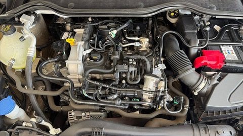 Auto Usate A Viterbo | Ford Fiesta Vii 2022 5P 5P 1.0 Ecoboost H Titanium 125Cv