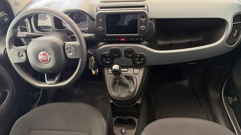 Auto Usate A Viterbo | Fiat Panda Cross Panda Iii 2021 Cross Panda 1.0 Firefly Hybrid Cross S&S 7...