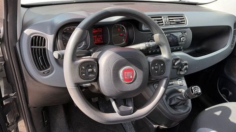 Auto Usate A Viterbo | Fiat Panda Iii 2016 4X4 0.9 Twinair Turbo 85Cv 4X4 S&S My19