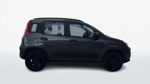Auto Usate A Viterbo | Fiat Panda Iii 2016 4X4 0.9 Twinair Turbo 85Cv 4X4 S&S My19