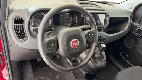 Auto Usate A Viterbo | Fiat Panda Cross Panda Iii 2021 Cross Panda 1.0 Firefly Hybrid Cross S&S 7...