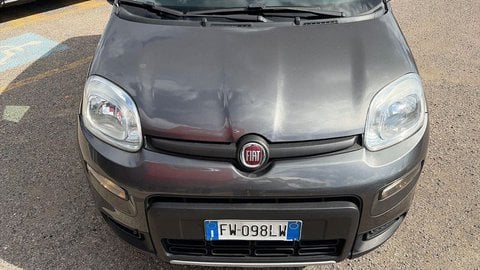 Auto Usate A Viterbo | Fiat Panda Iii 2016 4X4 0.9 Twinair Turbo 85Cv 4X4 S&S My19