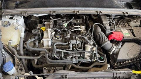 Auto Usate A Viterbo | Ford Puma Ii 2020 1.0 Ecoboost 12
