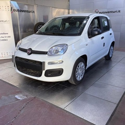 Auto Usate A Viterbo | Fiat Pandina 1.0 Firefly 65 Cv Hybrid Pop