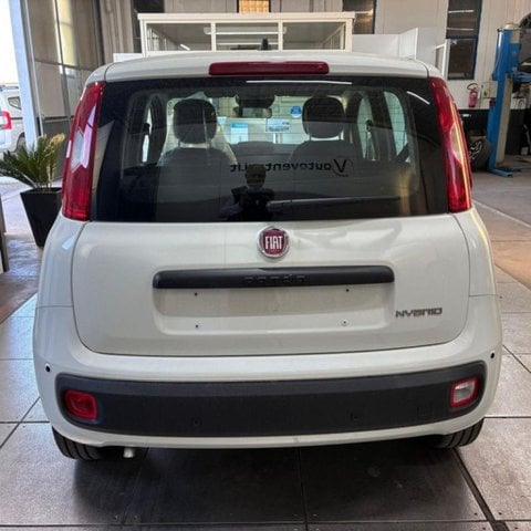 Auto Usate A Viterbo | Fiat Pandina 1.0 Firefly 65 Cv Hybrid Pop