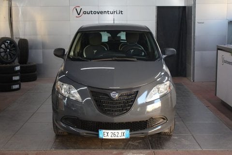 Auto Usate A Viterbo | Lancia Ypsilon 1.3 Mjt 16V 95 Cv 5 Porte Elefantino