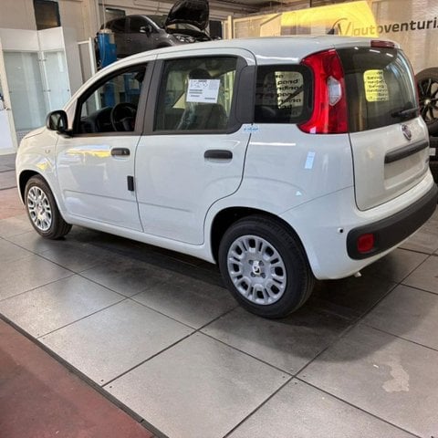 Auto Usate A Viterbo | Fiat Pandina 1.0 Firefly 65 Cv Hybrid Pop
