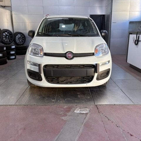 Auto Usate A Viterbo | Fiat Pandina 1.0 Firefly 65 Cv Hybrid Pop