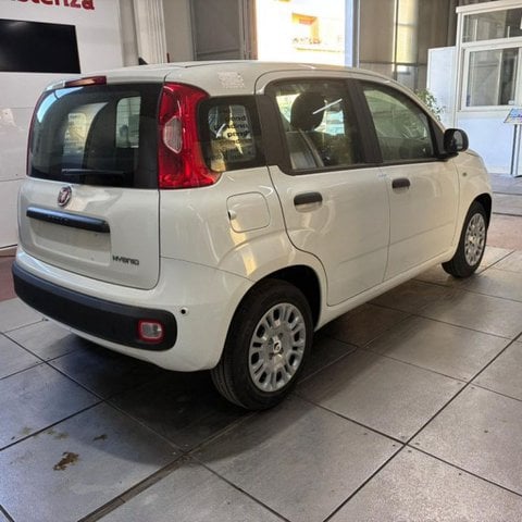Auto Usate A Viterbo | Fiat Pandina 1.0 Firefly 65 Cv Hybrid Pop