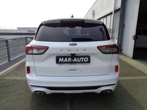 Auto Ford Kuga 1.5 Ecoblue 120 Cv 2Wd St-Line Usate A Treviso