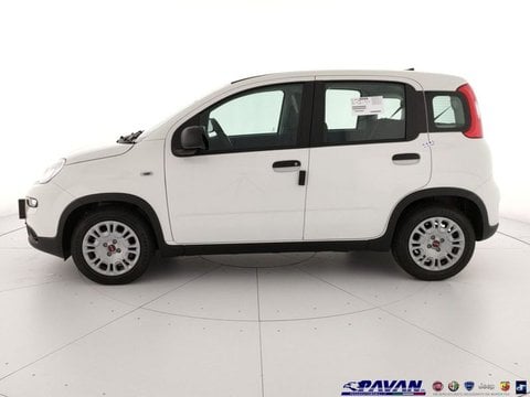 Auto Fiat Panda 1.0 Firefly S&S Hybrid Km0 A Padova