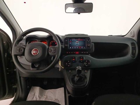 Auto Fiat Panda Iii 2021 1.0 Firefly Hybrid City Cross S&S 70Cv 5P.ti Usate A Treviso