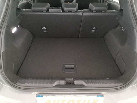 Auto Ford Puma Ii 2020 1.0 Ecoboost H Titanium X S&S 125Cv Usate A Treviso