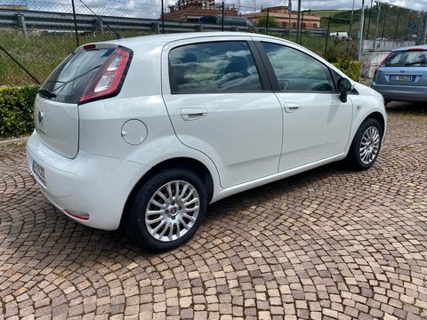 Auto Fiat Punto Punto 1.2 Gpl 8V 5 Porte Street Usate A Roma