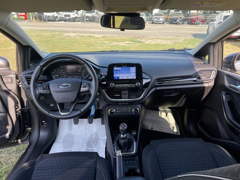 Auto Ford Fiesta 1.0 Ecoboost 100 Cv 5 Porte Titanium Usate A Rovigo