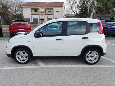 Auto Fiat Panda 1.0 Firefly S&S Hybrid Km Zero! Km0 A Ancona