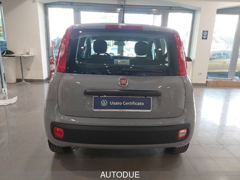 Auto Fiat Panda 1.2 Easy Power City Life Gpl 69Cv Usate A Salerno