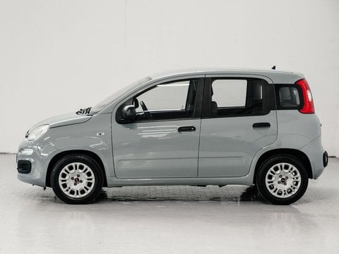 Auto Fiat Panda 1.0 Firefly S&S Hybrid Usate A Prato