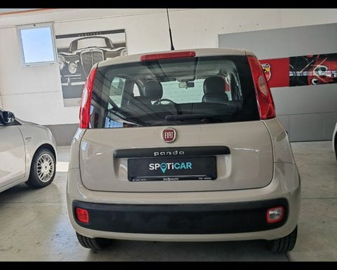 Auto Fiat Panda Iii 2012 1.2 Easy 69Cv E6 Usate A Pisa