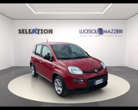 Auto Km0 A Ancona | Fiat Panda My23 1.0 70Cv Hybrid Panda