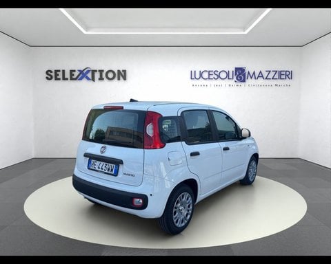 Auto Usate A Ancona | Fiat Pandina 1.0 Firefly 65 Cv Hybrid Icon