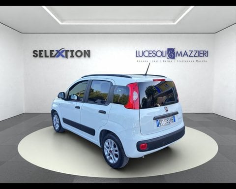 Auto Usate A Ancona | Fiat Panda 1.0 Firefly S&S Hybrid Easy
