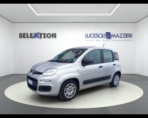 Auto Usate A Ancona | Fiat Panda 3ª Serie 1.0 Firefly S&S Hybrid Easy