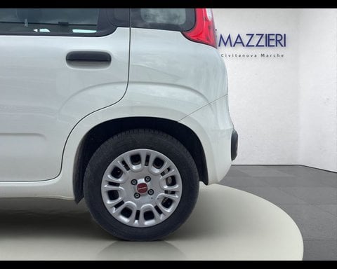 Auto Usate A Ancona | Fiat Panda 1.0 Firefly S&S Hybrid