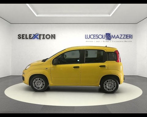 Auto Usate A Ancona | Fiat Pandina 1.0 Firefly 65 Cv Hybrid Pop