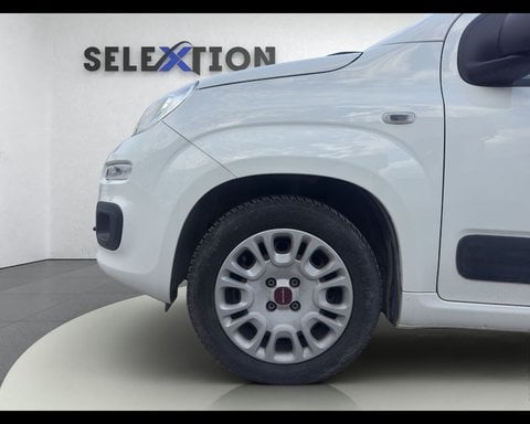 Auto Usate A Ancona | Fiat Panda 3ª Serie 1.2 Easy