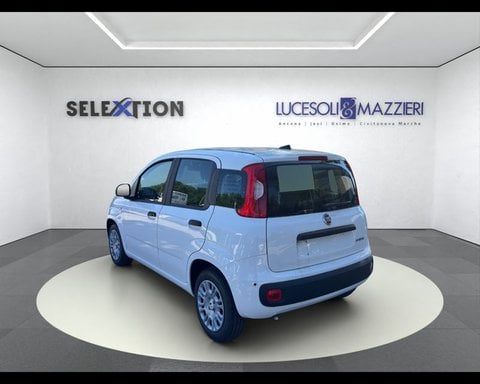 Auto Km0 A Ancona | Fiat Pandina My26 1.0 65Cv Hybrid Icon