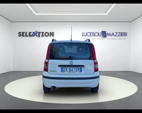 Auto Usate A Ancona | Fiat Panda 1.2 Mylife