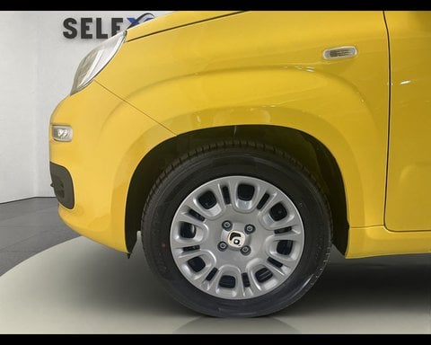 Auto Usate A Ancona | Fiat Pandina 1.0 Firefly 65 Cv Hybrid Pop