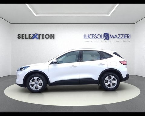 Auto Usate A Ancona | Ford Kuga 3ª Serie 1.5 Ecoblue 120 Cv 2Wd Connect