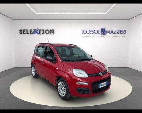 Auto Usate A Ancona | Fiat Panda 1.2 Easy
