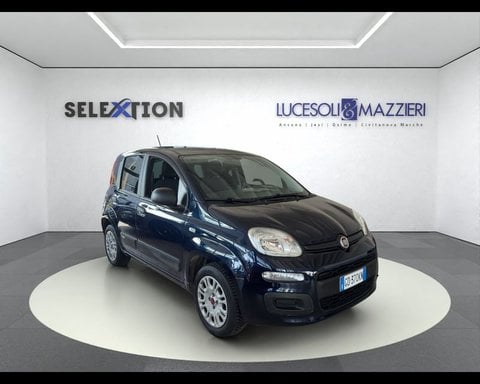 Auto Usate A Ancona | Fiat Panda 1.2 Easy