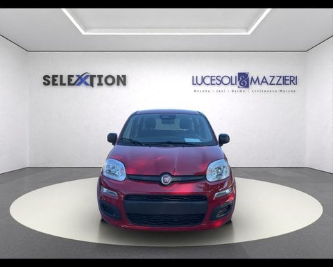 Auto Km0 A Ancona | Fiat Pandina My26 1.0 65Cv Hybrid Pop